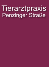 Tierarztpraxis Penzinger Strae